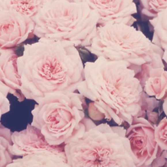 Meet your Posher, Lyly - Picture 1 of 1